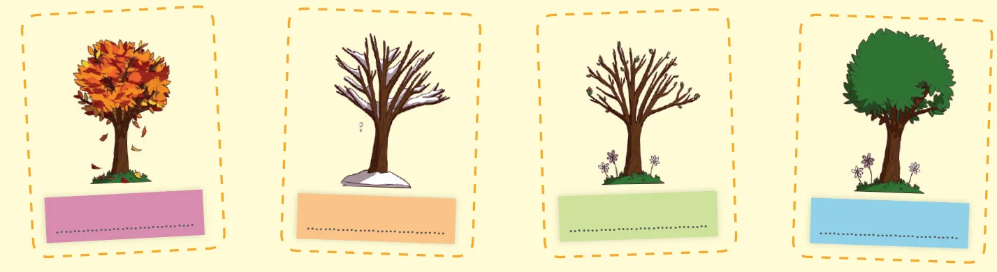 Quatre dessins d'arbres, un orange, un recouvert de neige, un avec des bourgeons et un dernier avec des feuilles vertes.