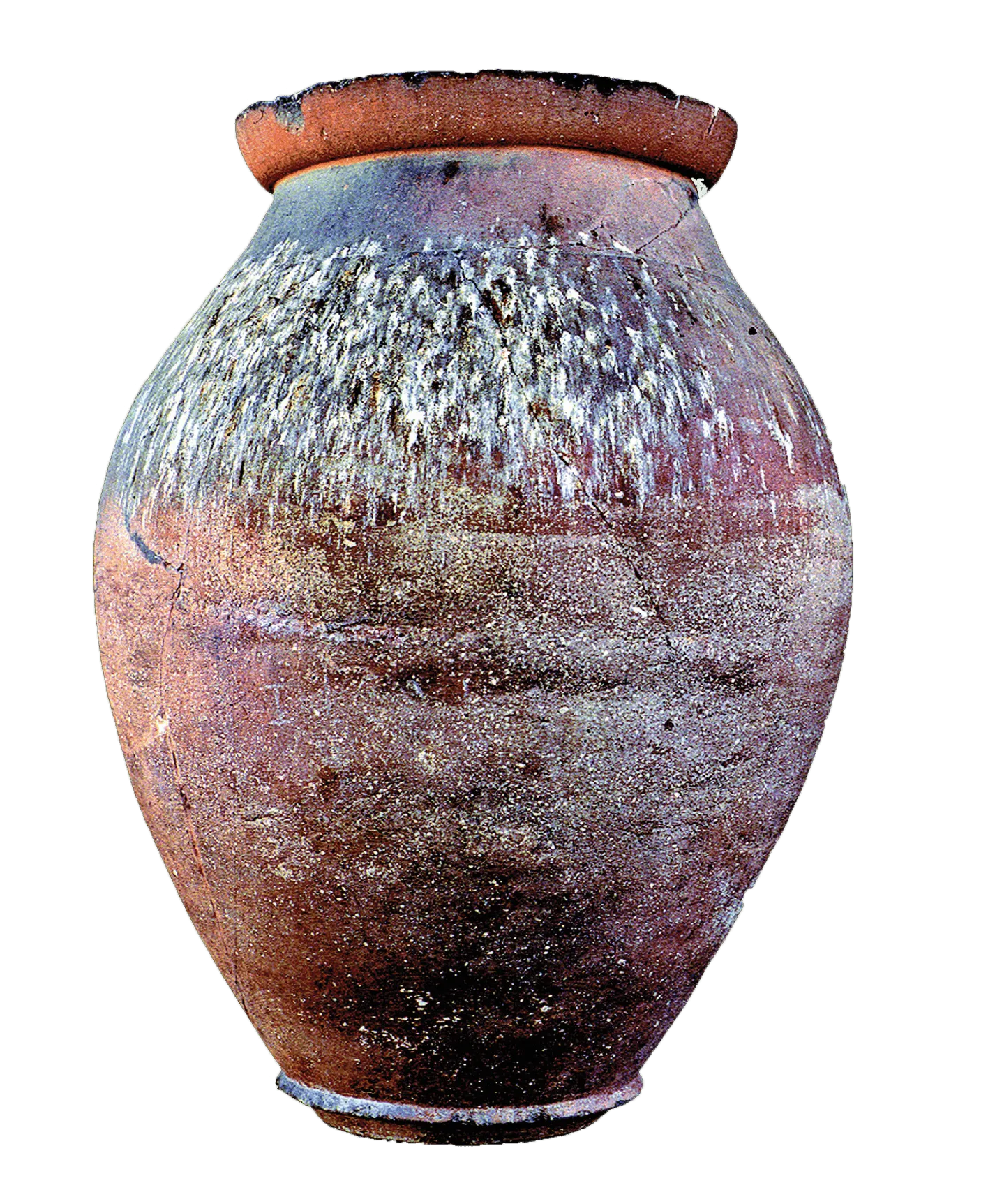Un dolium (une jarre de 2 mètres de hauteur stockant jusqu'à 1 800 litres de vin)