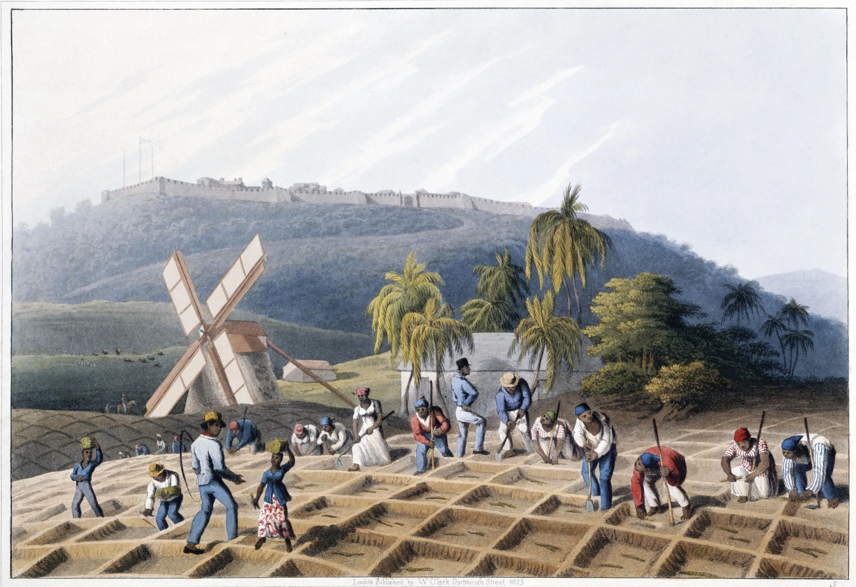 Le travail sur une plantation de canne à sucre, lithographie de William Clark, 1823.