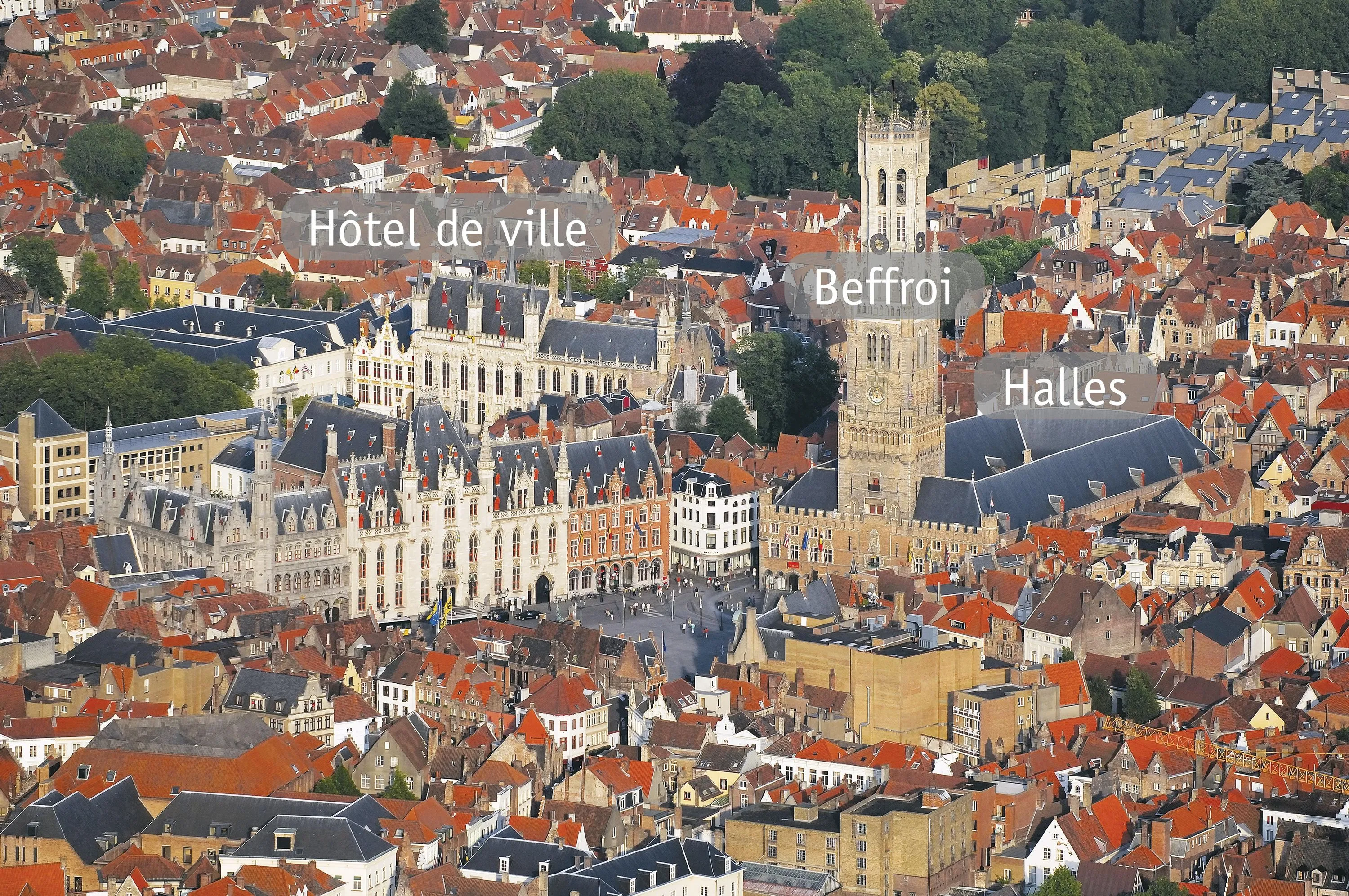Plan de la ville et activités marchandes : l'expansion de Bruges