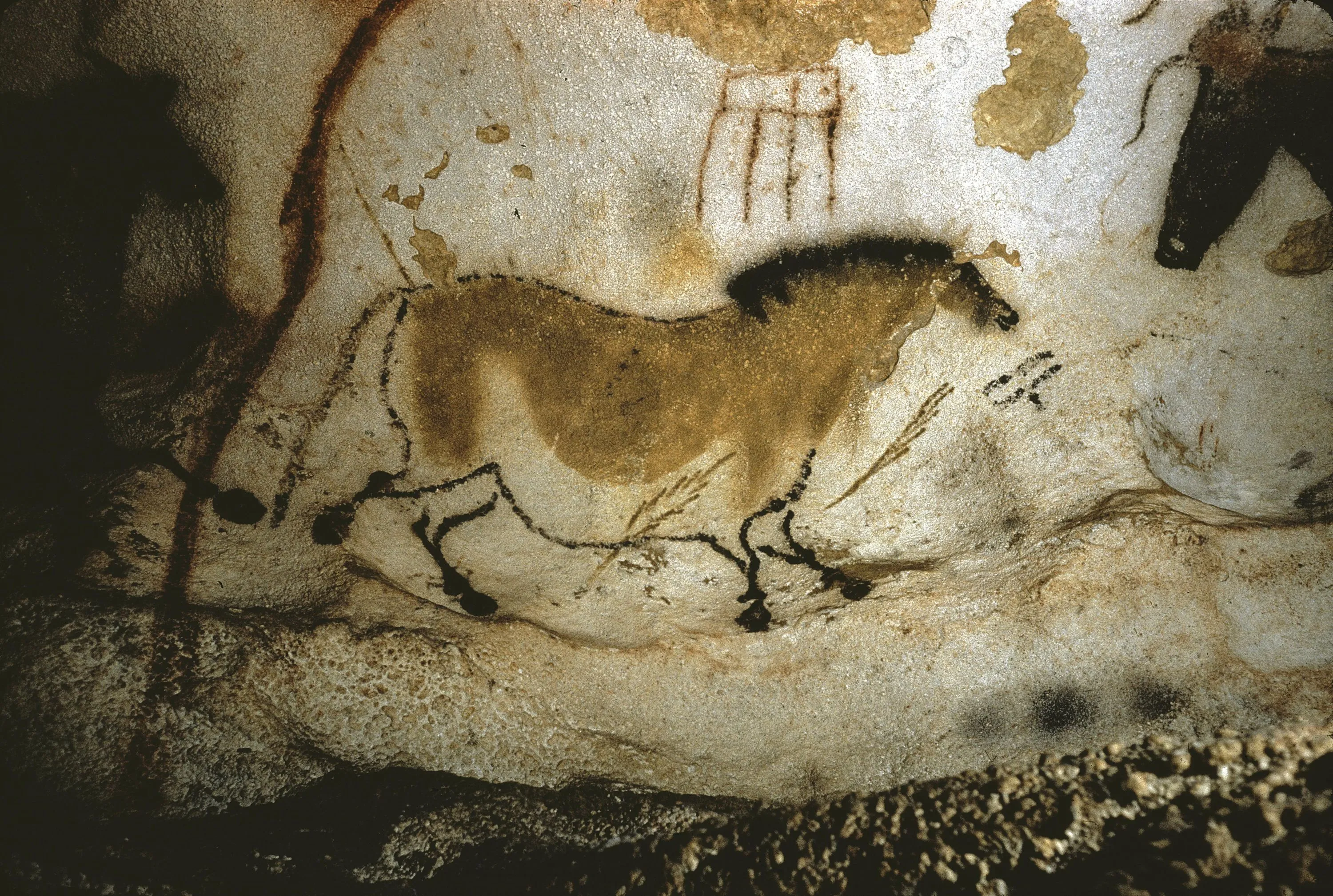 Doc. 1 La grotte de Lascaux (France), un exemple d'art pariétal
