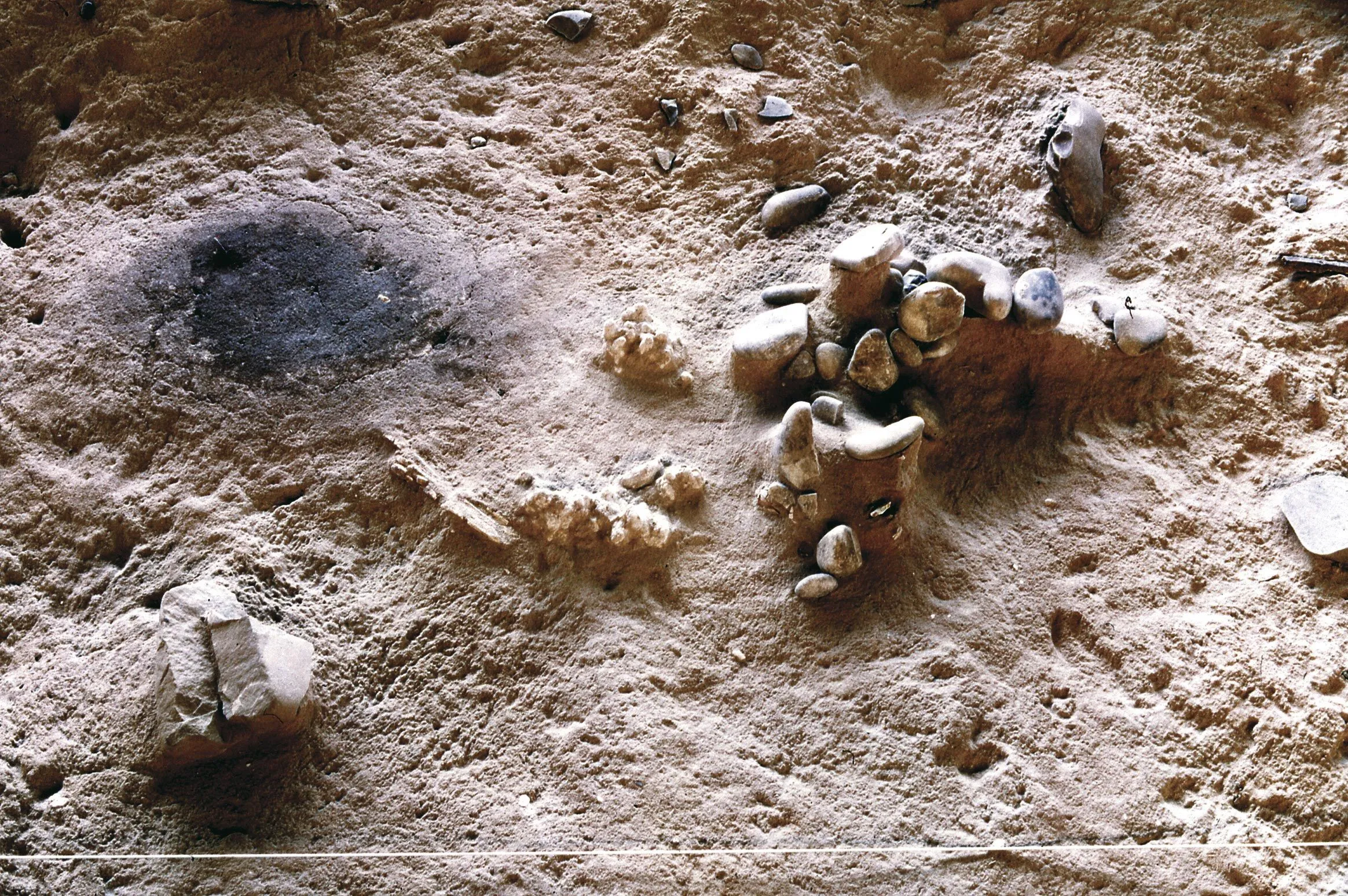 Site de Terra Amata (Nice), il y a 400 000 ans