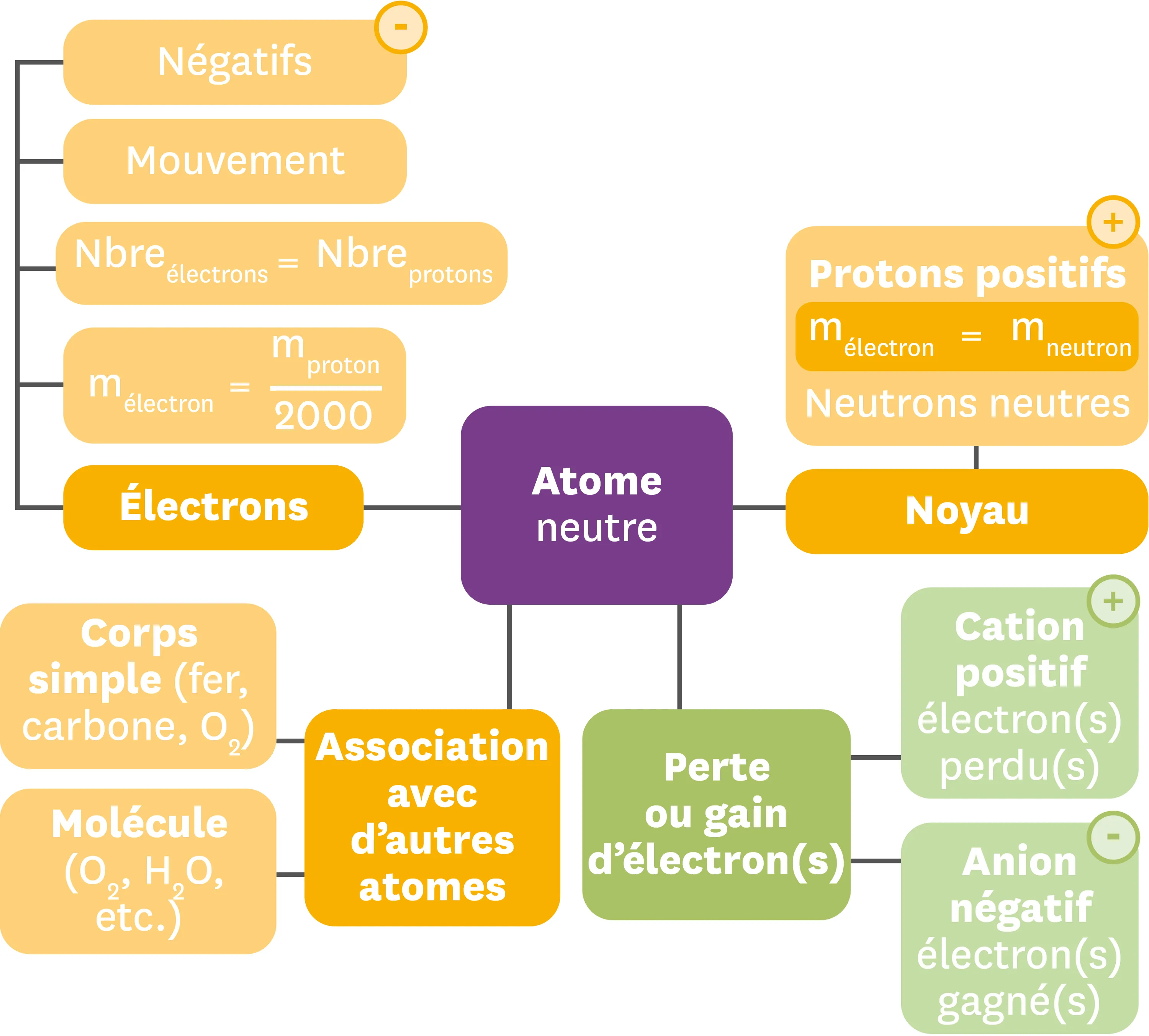 Exemple de carte mentale résumant les différentes entités chimiques à l'echelle microscopique.