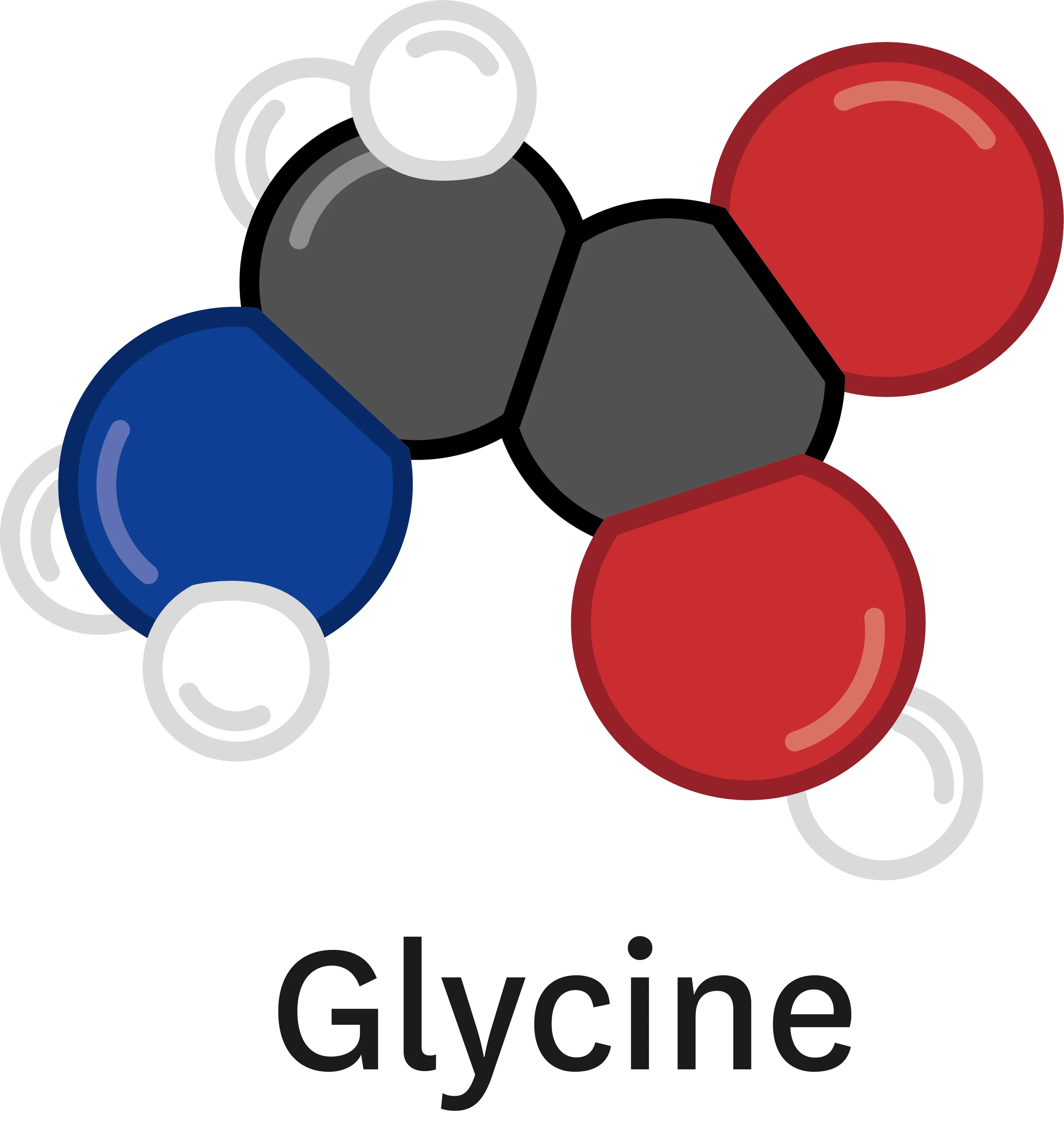 Glycine.