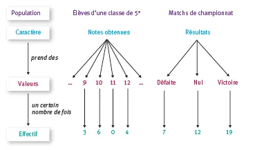 Exemple d'arbre statistique.