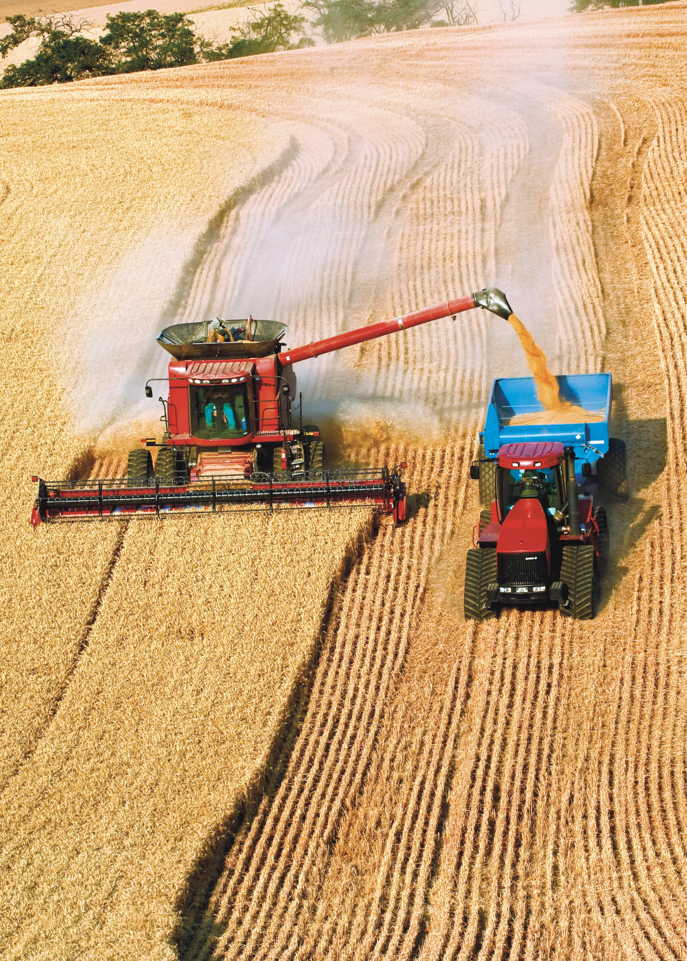 photo d'un tracteu effectuant la moisson du blé dans un champs