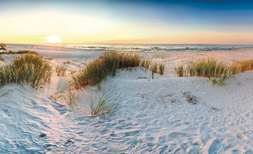 Plage des dunes côtières mer