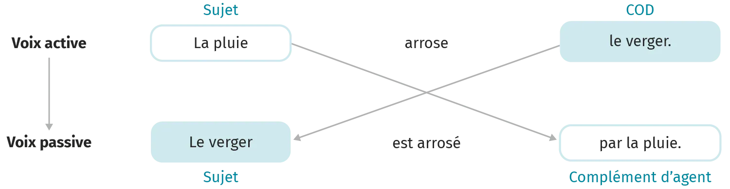 Voix active et voix passive