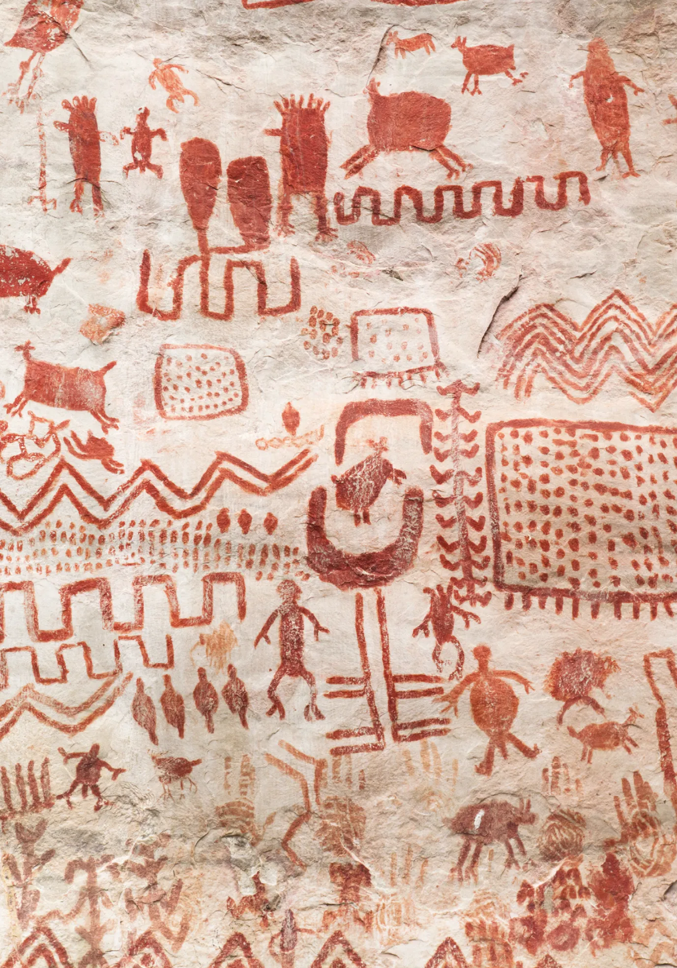 Peintures rupestres en Amazonie