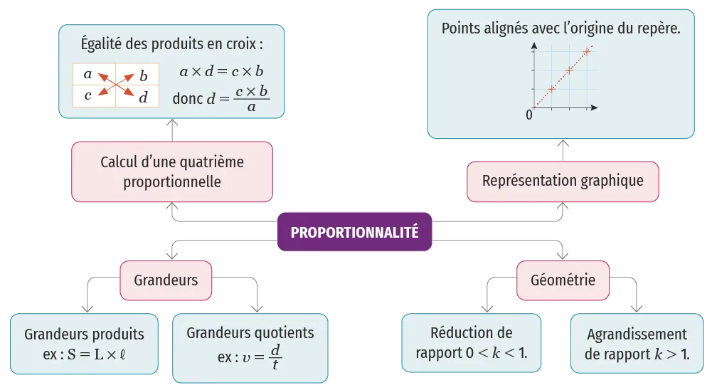 carte mentale proportionnalité