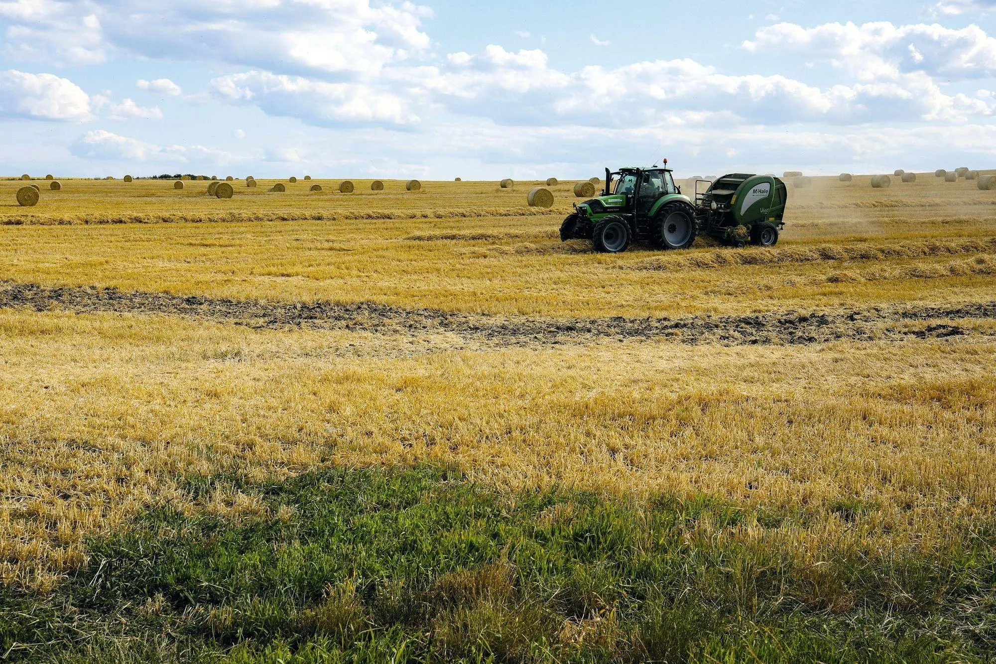 Paysage agricole Pologne