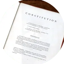 La constitution