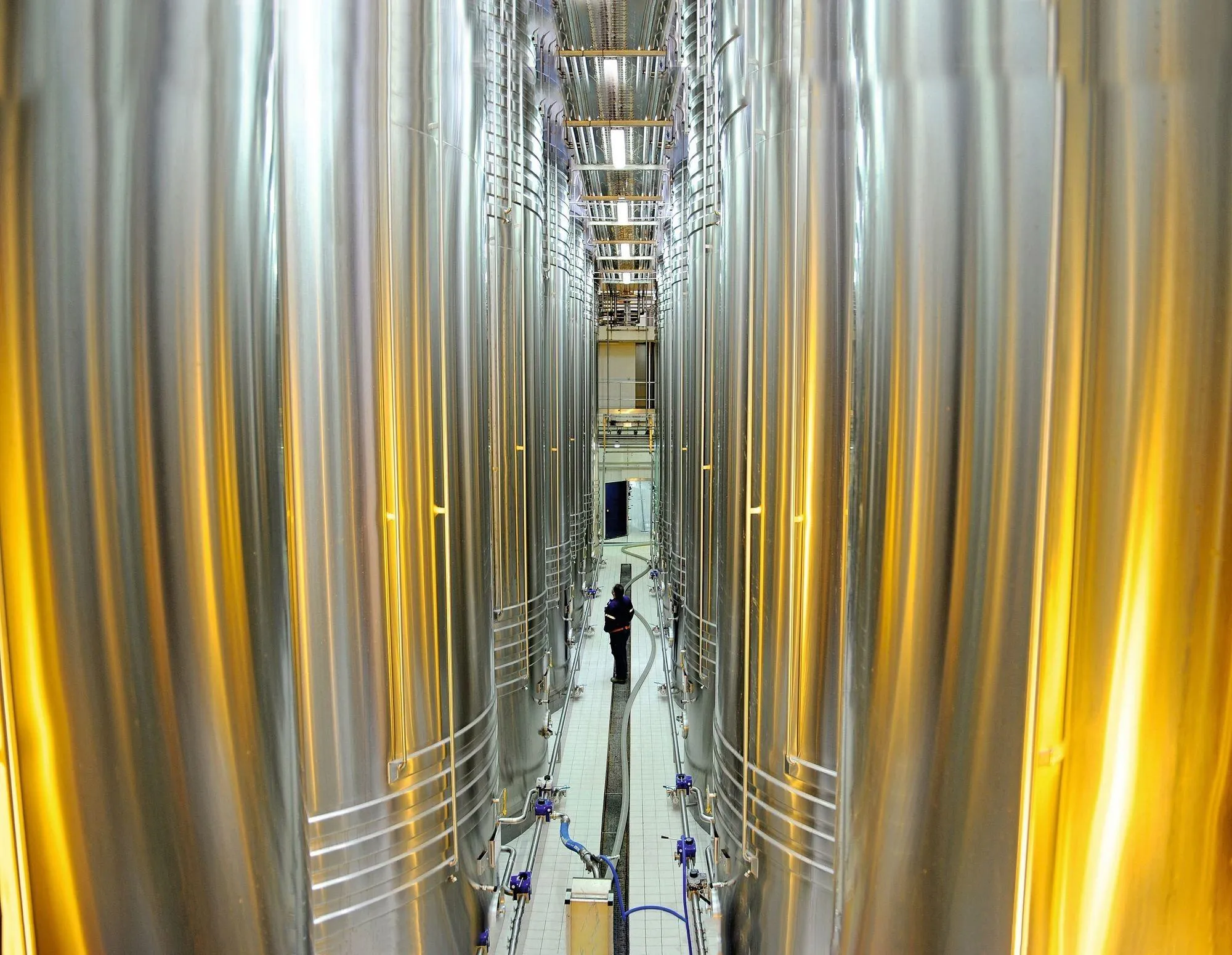 Les cuves d'une maison de champagne à Épernay