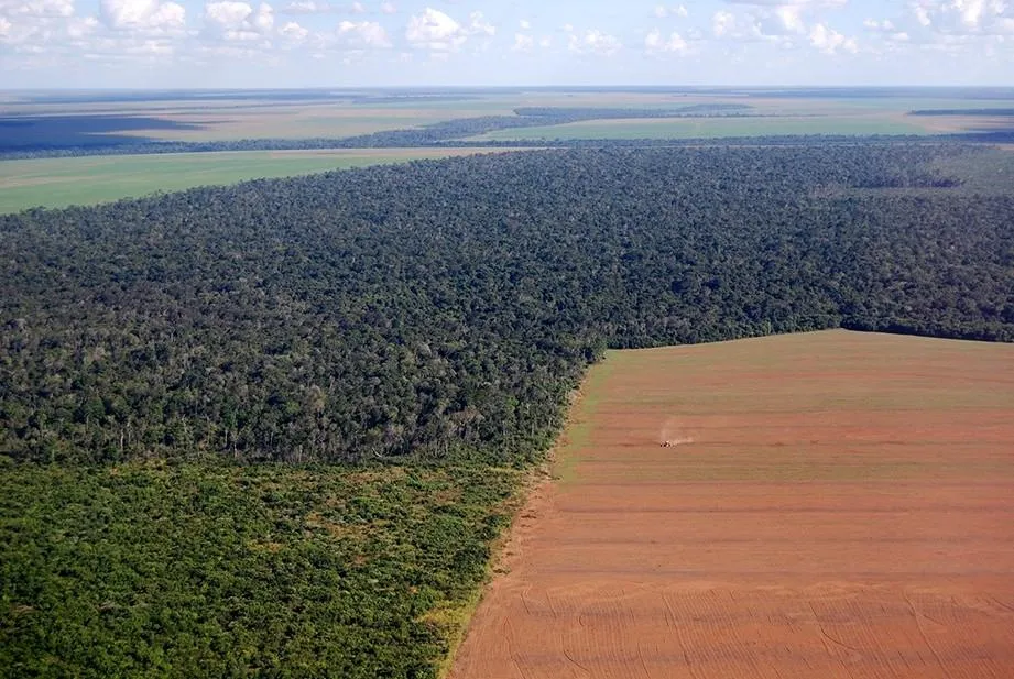 L'Amazonie victime des cultures d'agro-exportation