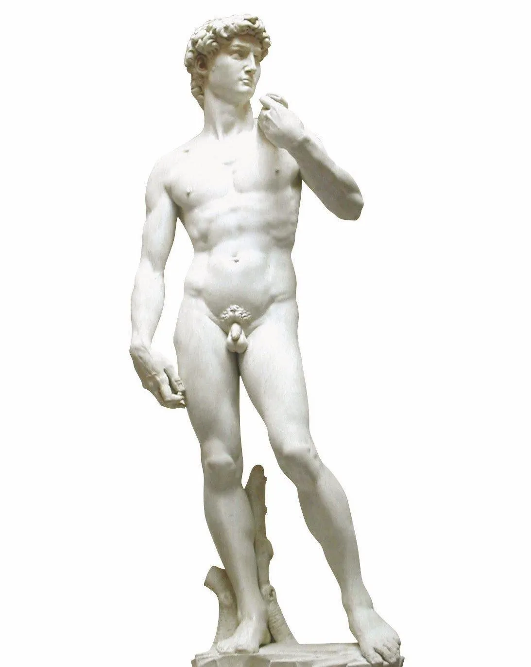 Michel-Ange, David, 1501-1504
