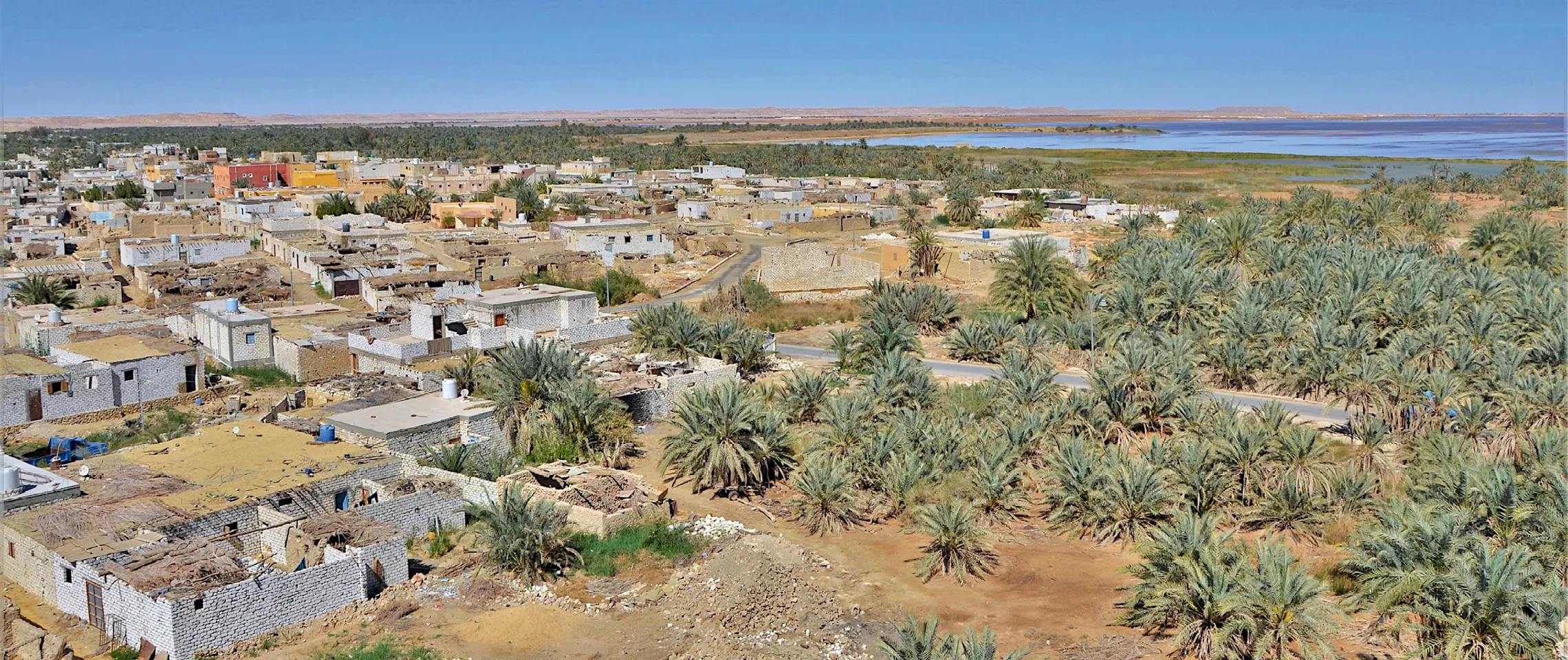 L'oasis de Siwa