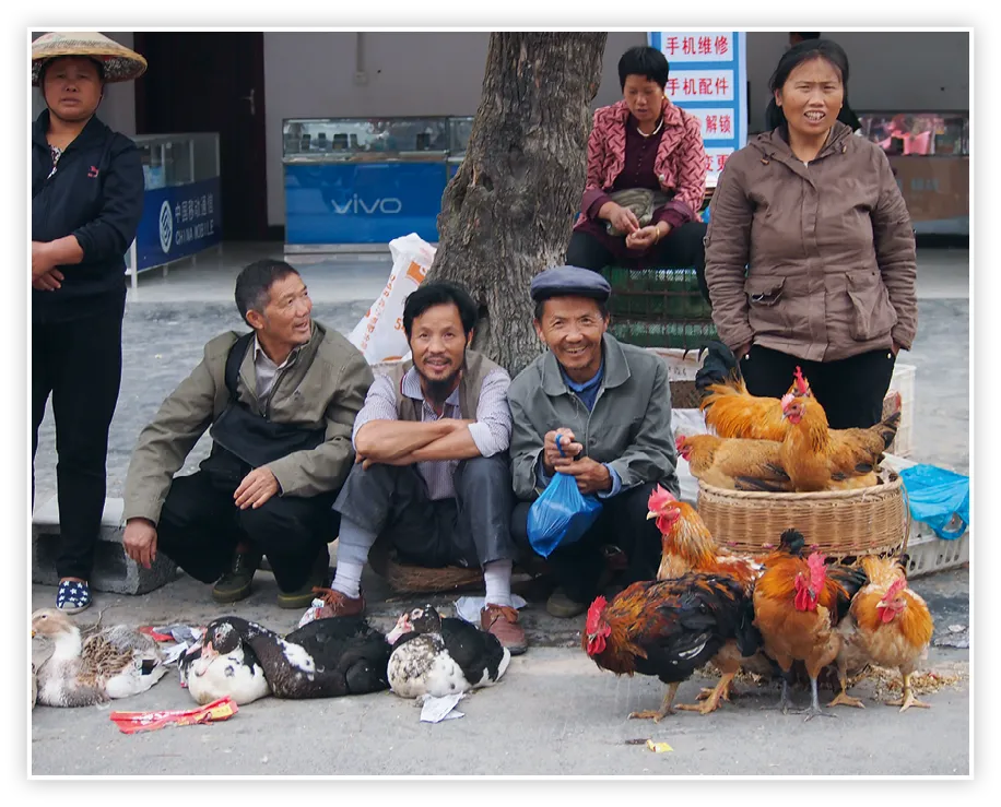 Vente d'animaux sur le marché d'un village dans le district de Fenghuang, en Chine, en 2016.