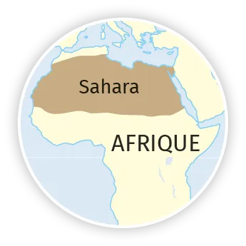 Sahara