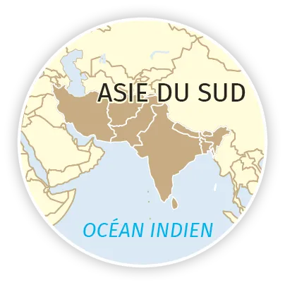 carte Asie du Sud