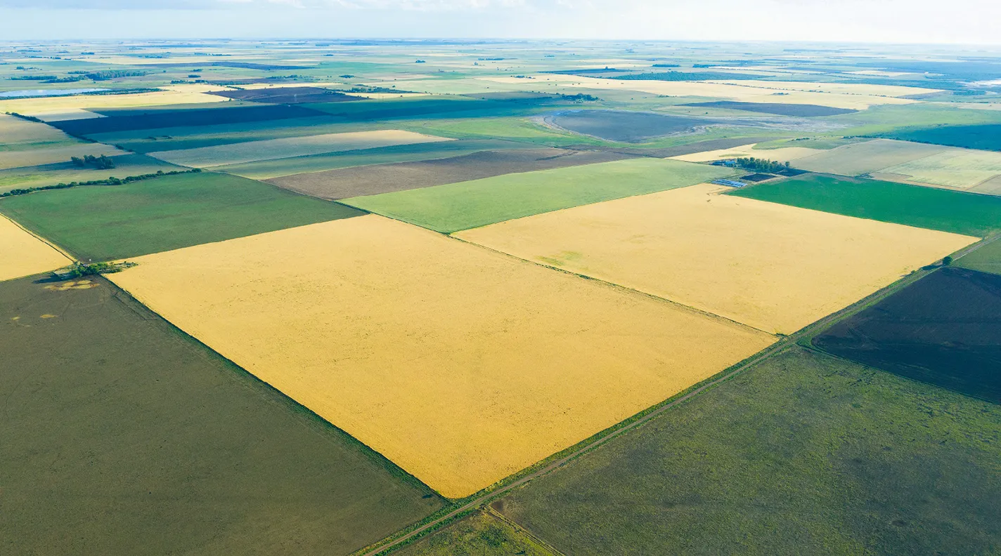 Les paysages de la Pampa