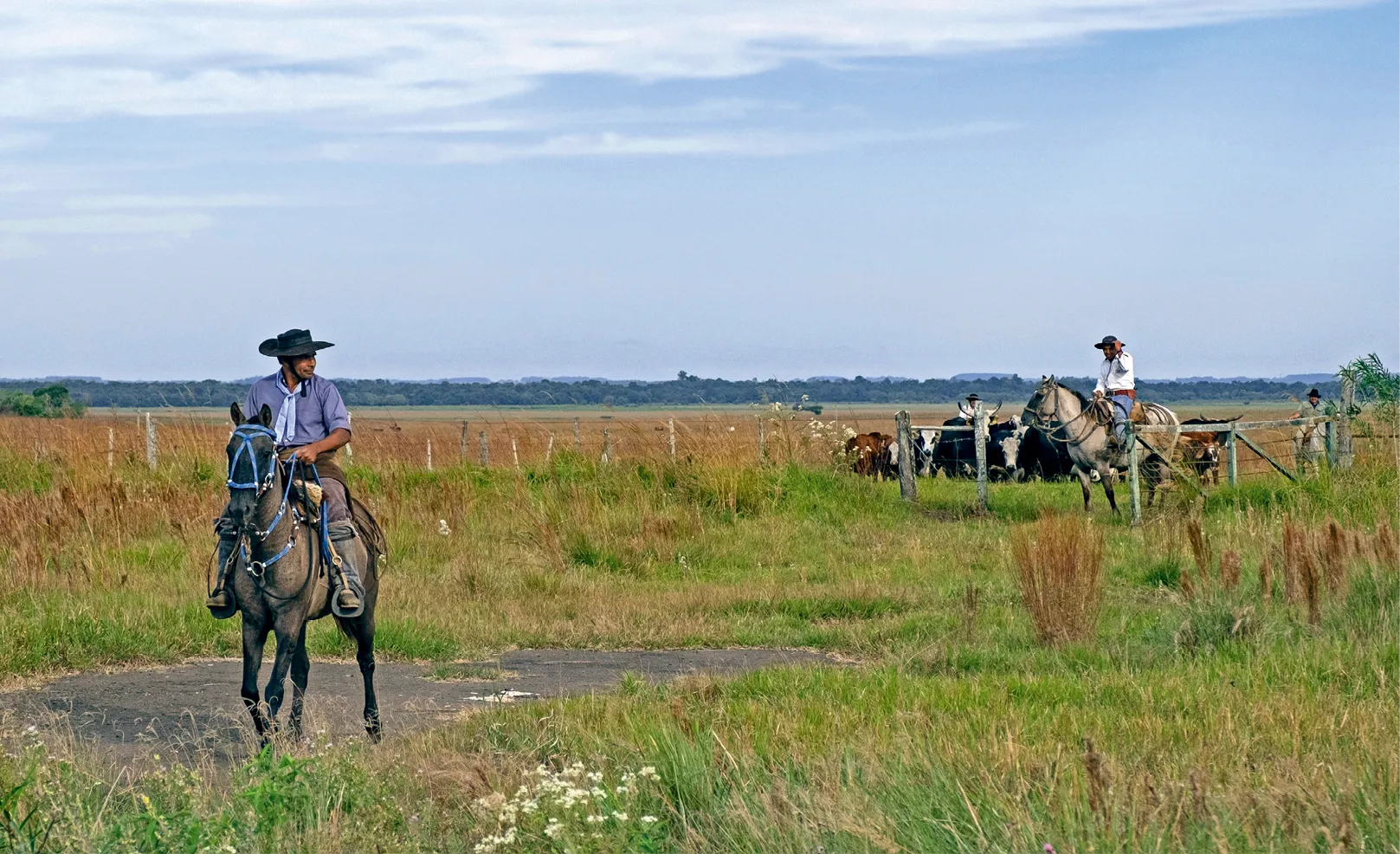 gauchos photographie