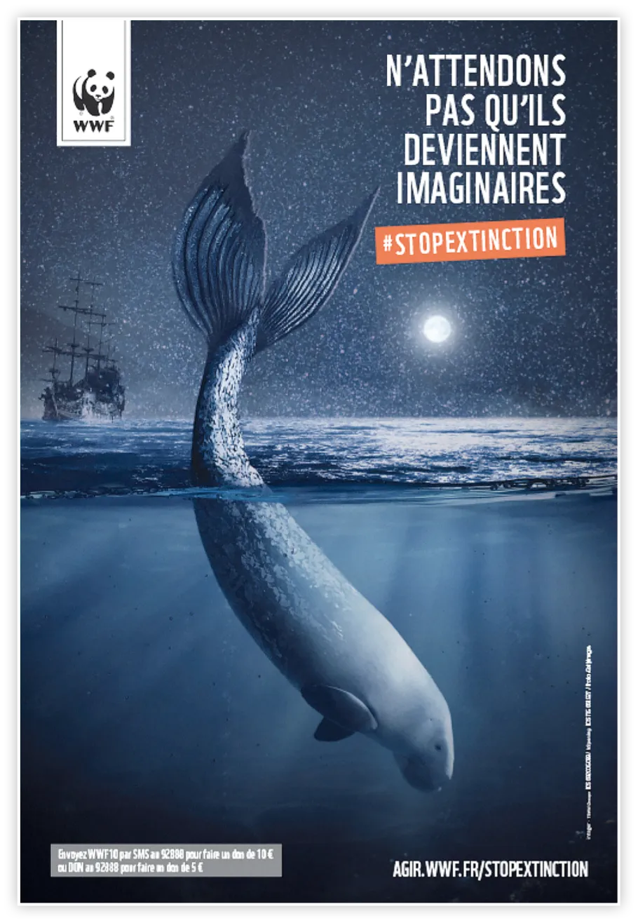 Affiche WWF extinciton, baleine.