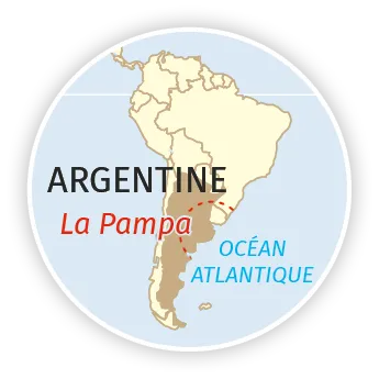 Pampa argentine