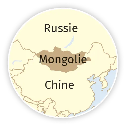 Carte Mongolie