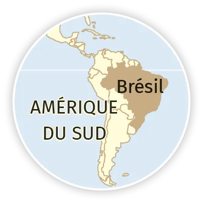 carte Amérique du Sud