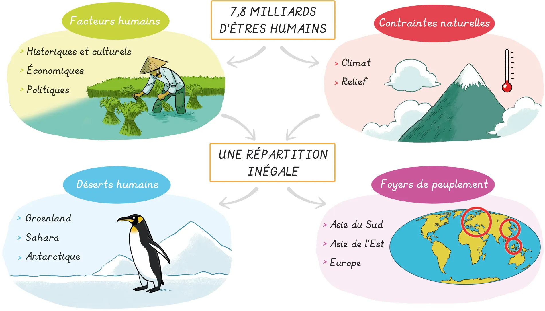 Schéma résumé de la répartition de la population mondiale et ses dynamiques