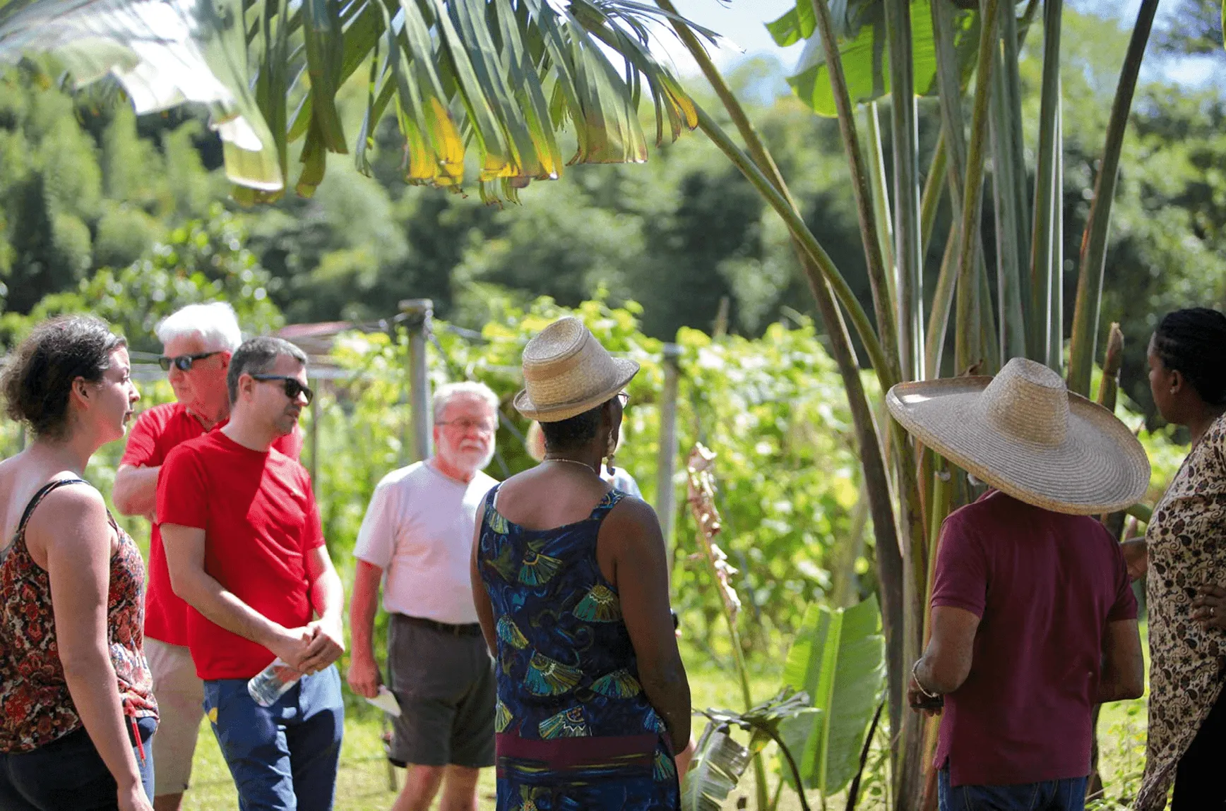 Touristes Martinique