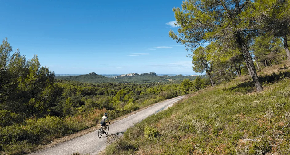 Photographie d'une personne à vélo sur une route de campagne