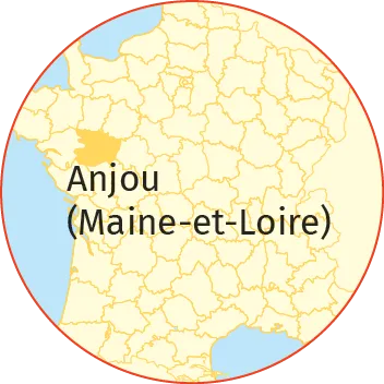 Anjou