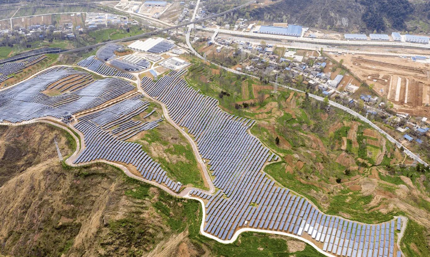 Panneaux photovoltaïques et plantations