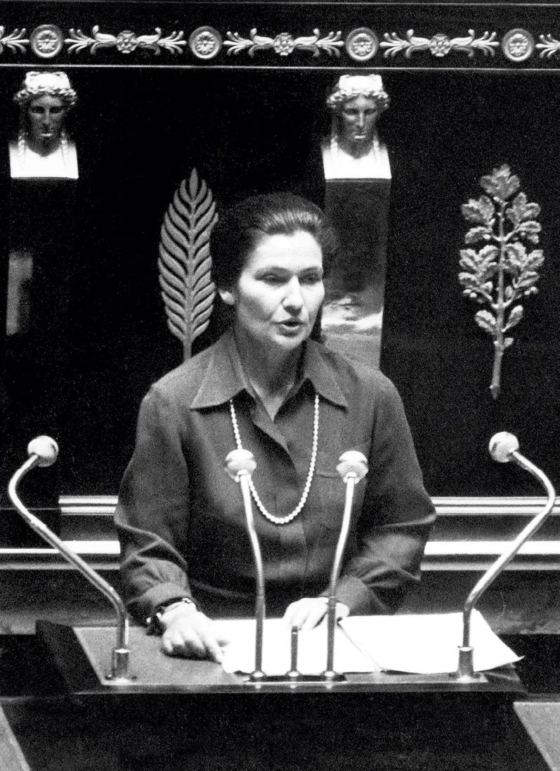 Simone Veil à l'Assemblée nationale