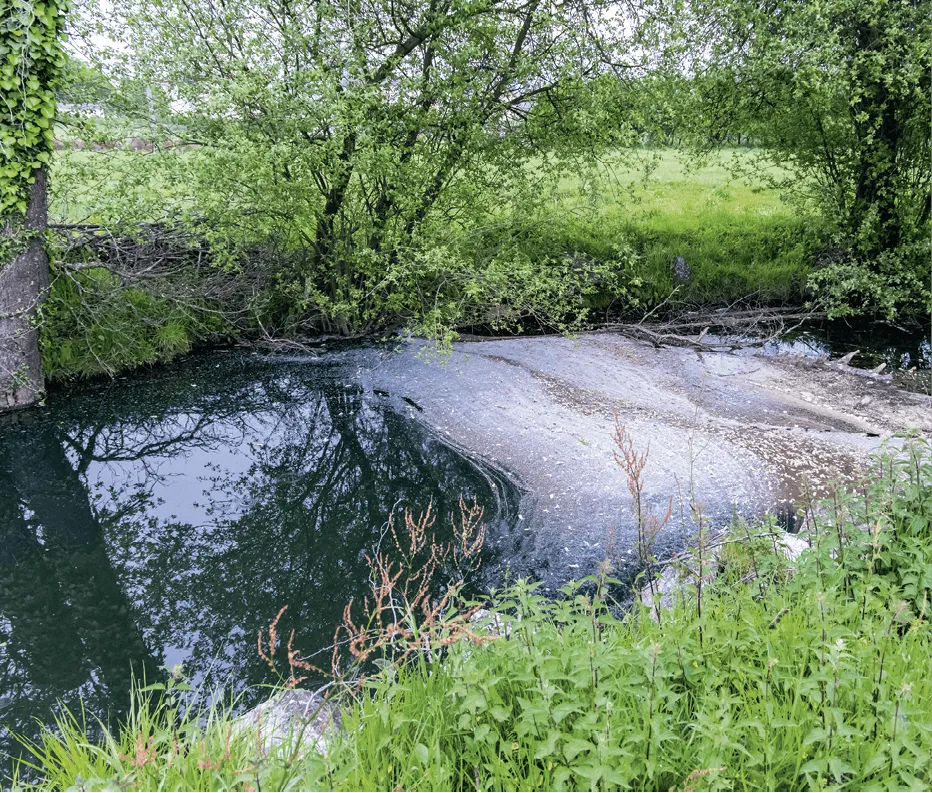 Photographie d'une rivière polluée, aux eaux sombres.  Des débris et sédiments clairs sont visibles sur le lit. La végétation riveraine est verdoyante.