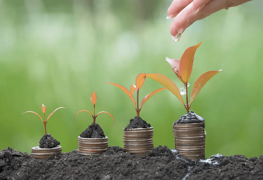 Photographie de jeunes pousses plantées dans des piles de pièces, arrosées par une main. Concept de croissance financière.