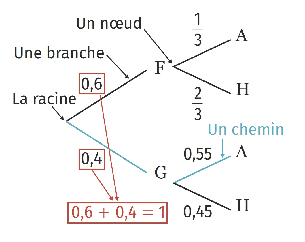 Schéma d'arbre de probabilité montrant des nœuds, branches et chemins avec des valeurs numériques.