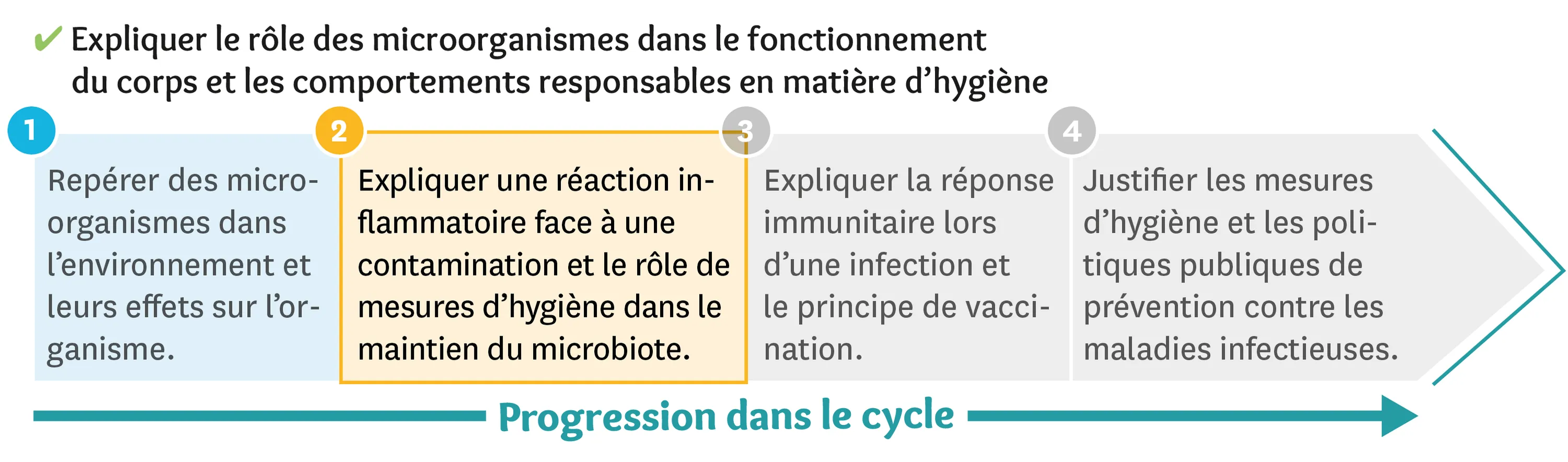 Progression dans le cycle des microorganismes dans le fonctionnement du corps et les comportements responsables en matière d'hygiène