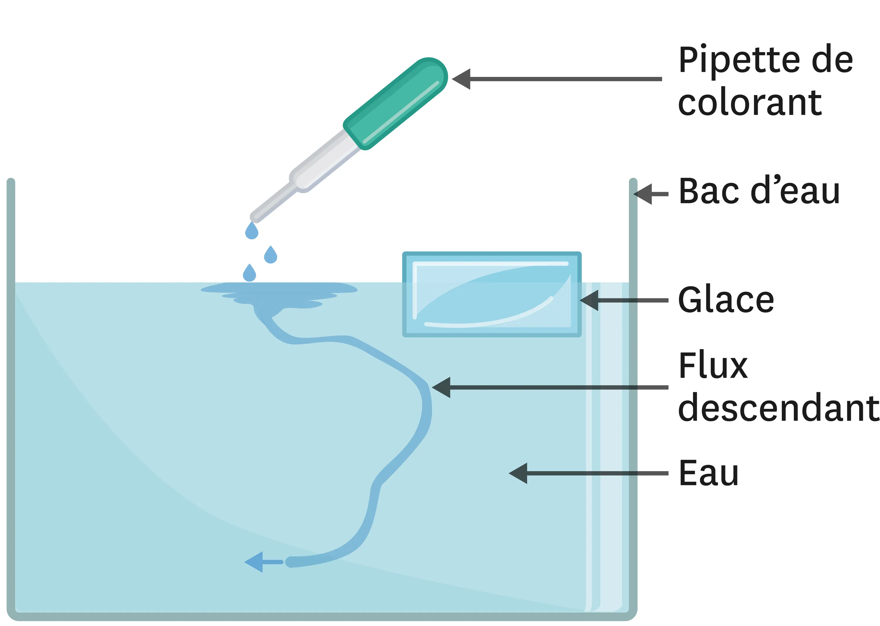 Schéma expliquant la méthode. Dans un bac d'eau contenant un morceau de glace, verser quelques gouttes de colorant, on peut alors voir le flux descendant du colorant.