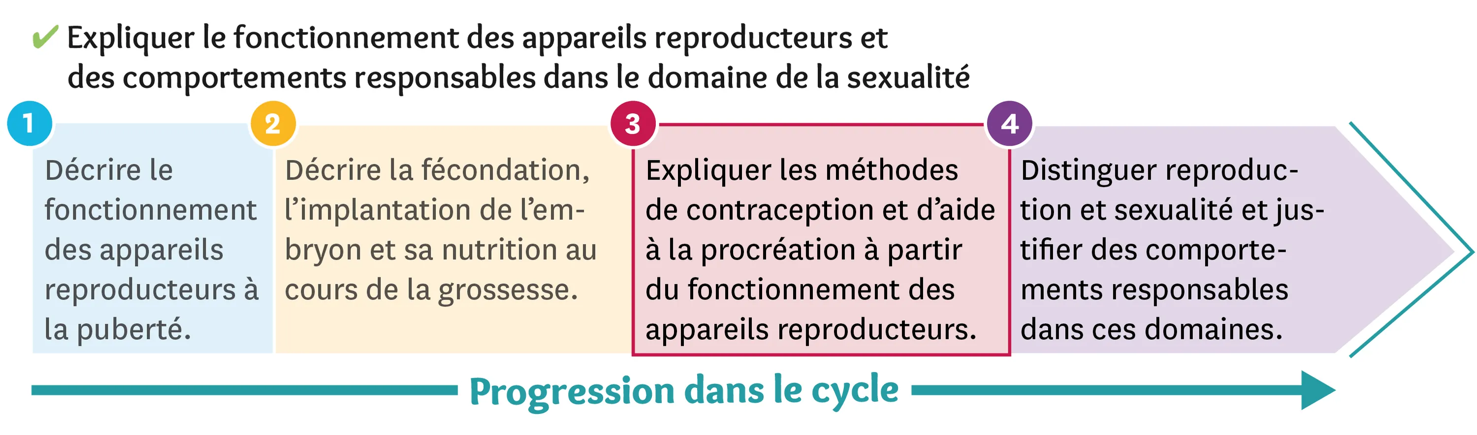 Illustration d'une progression dans le cycle du fonctionnement des appareils reproducteurs et des comportements responsables dans le domaine de la sexualité