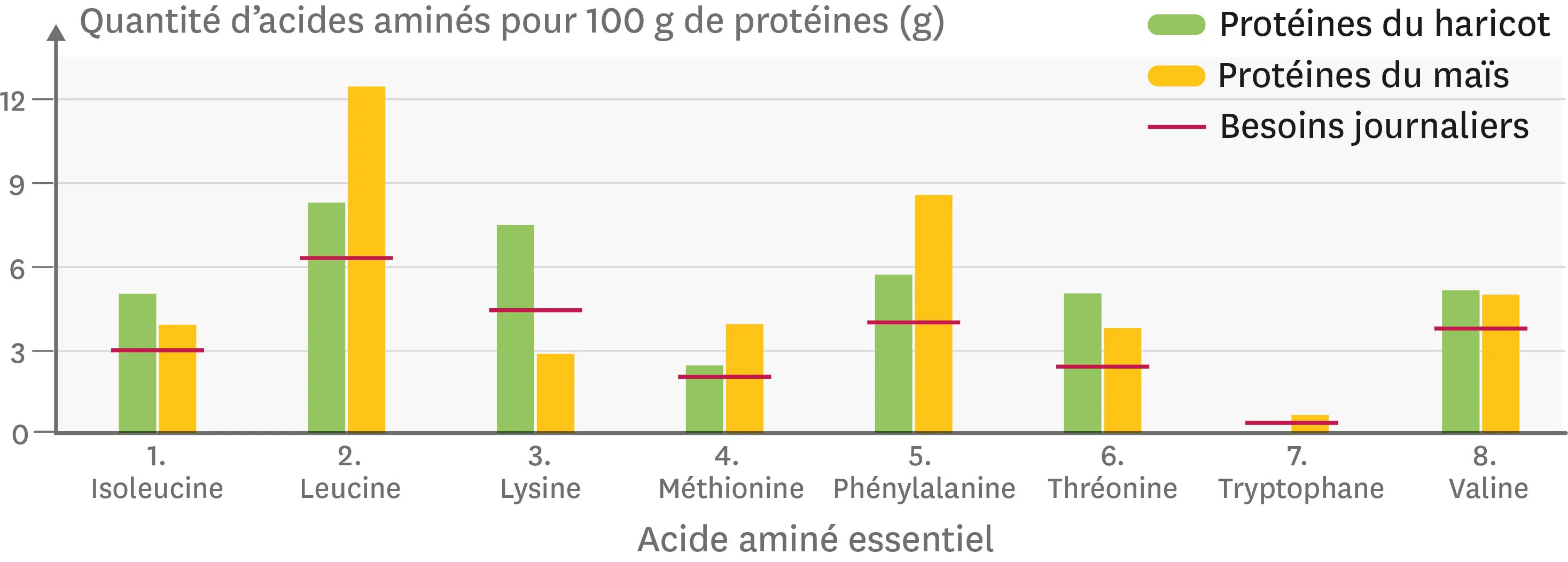 Graphique représentant la quantité des huit acides aminés essentiels dans le haricot et le maïs.