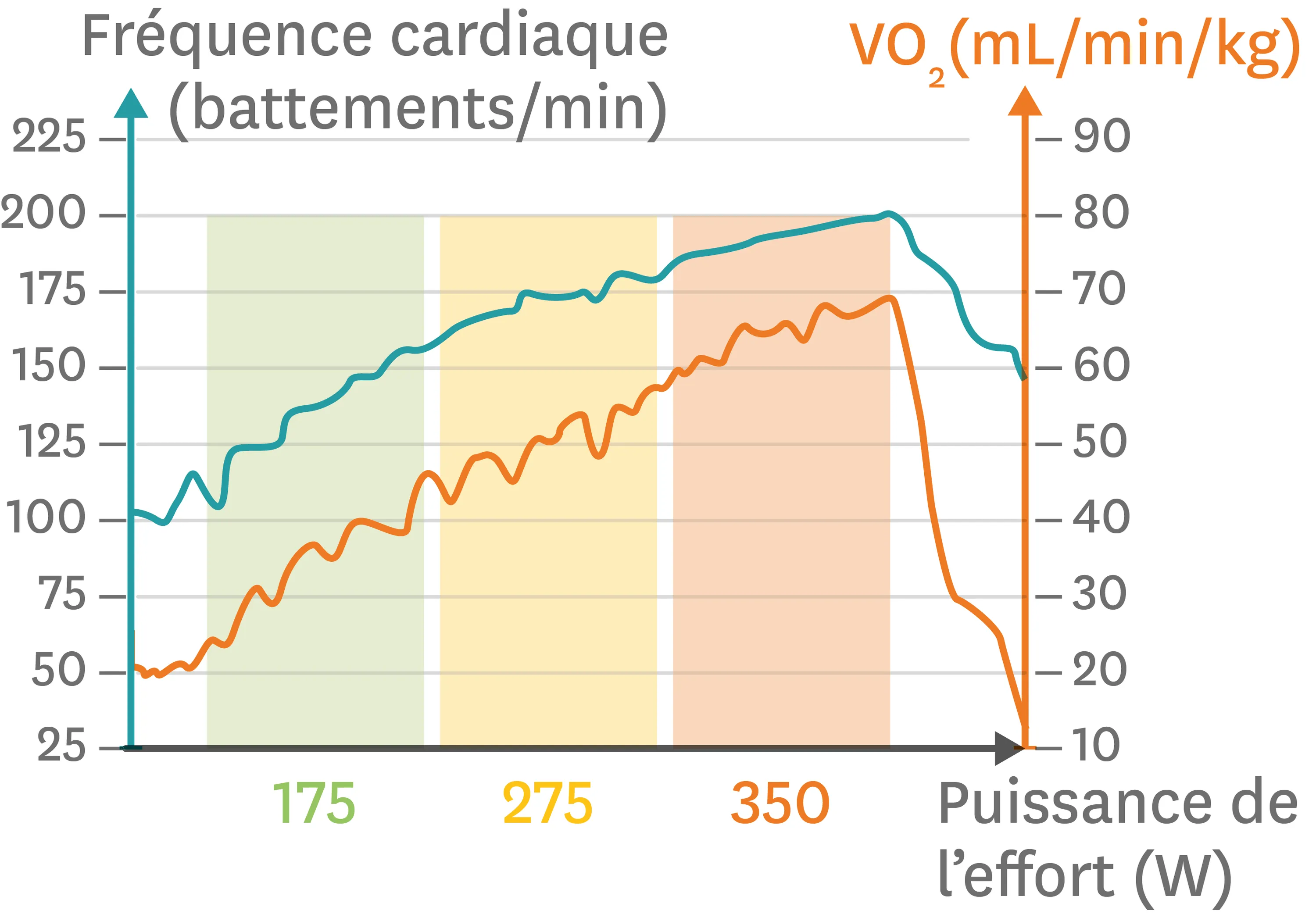 Les variations de la fréquence cardiaque et de la consommation de dioxygène pour un effort physique d'intensité croissante.