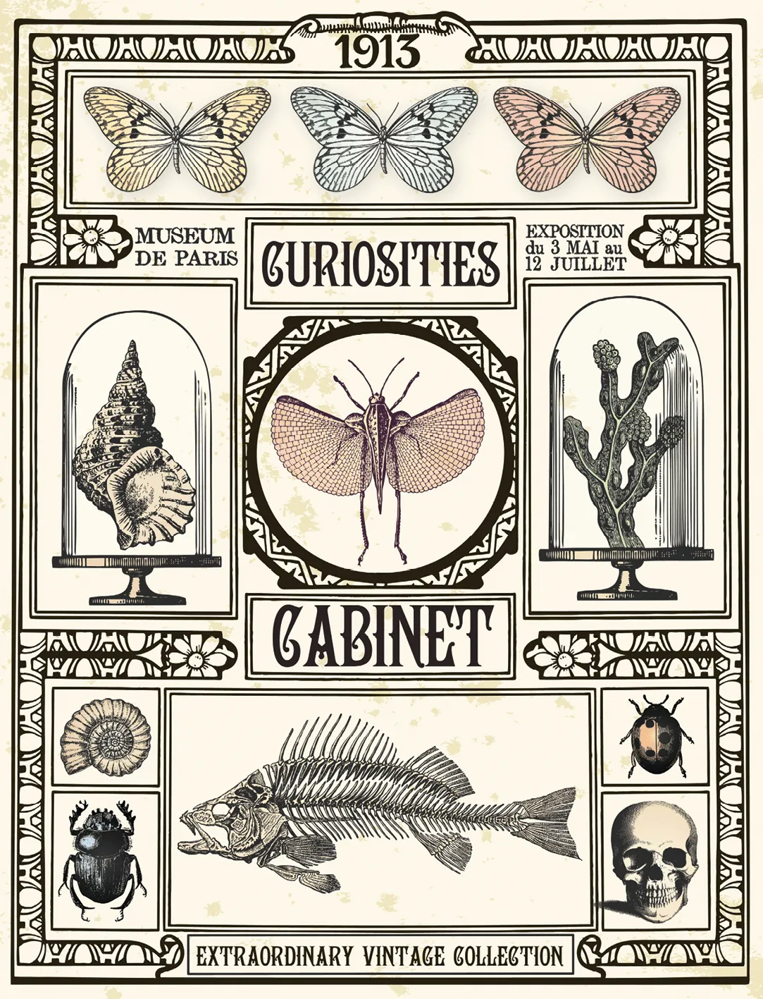 affiche d'un cabinet de curiosités