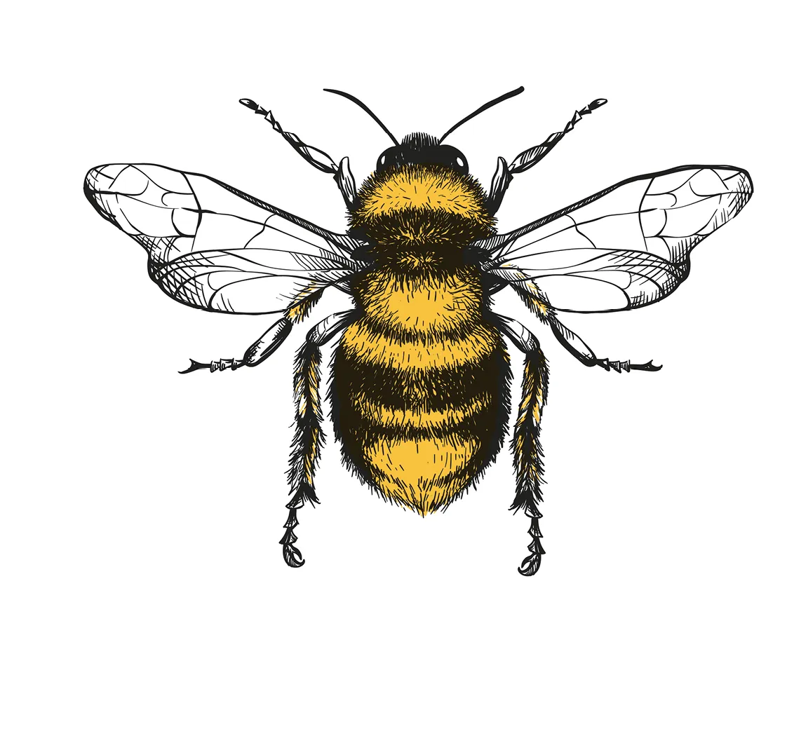 Illustration d'abeille