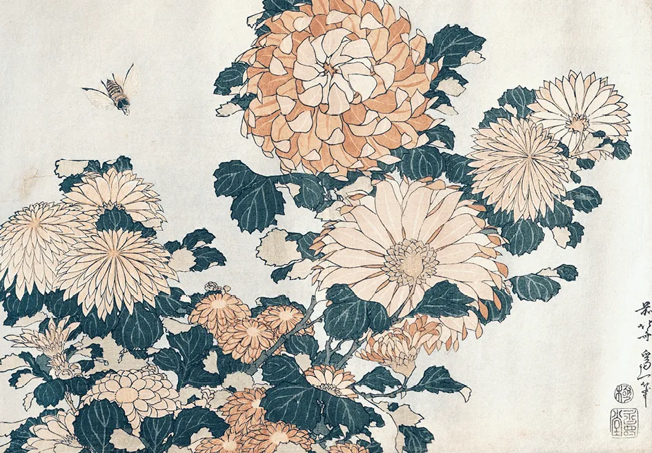 Gravure sur bois japonaise représentant des chrysanthèmes blancs et orangés, une abeille en vol, détails précis des feuilles et des fleurs.