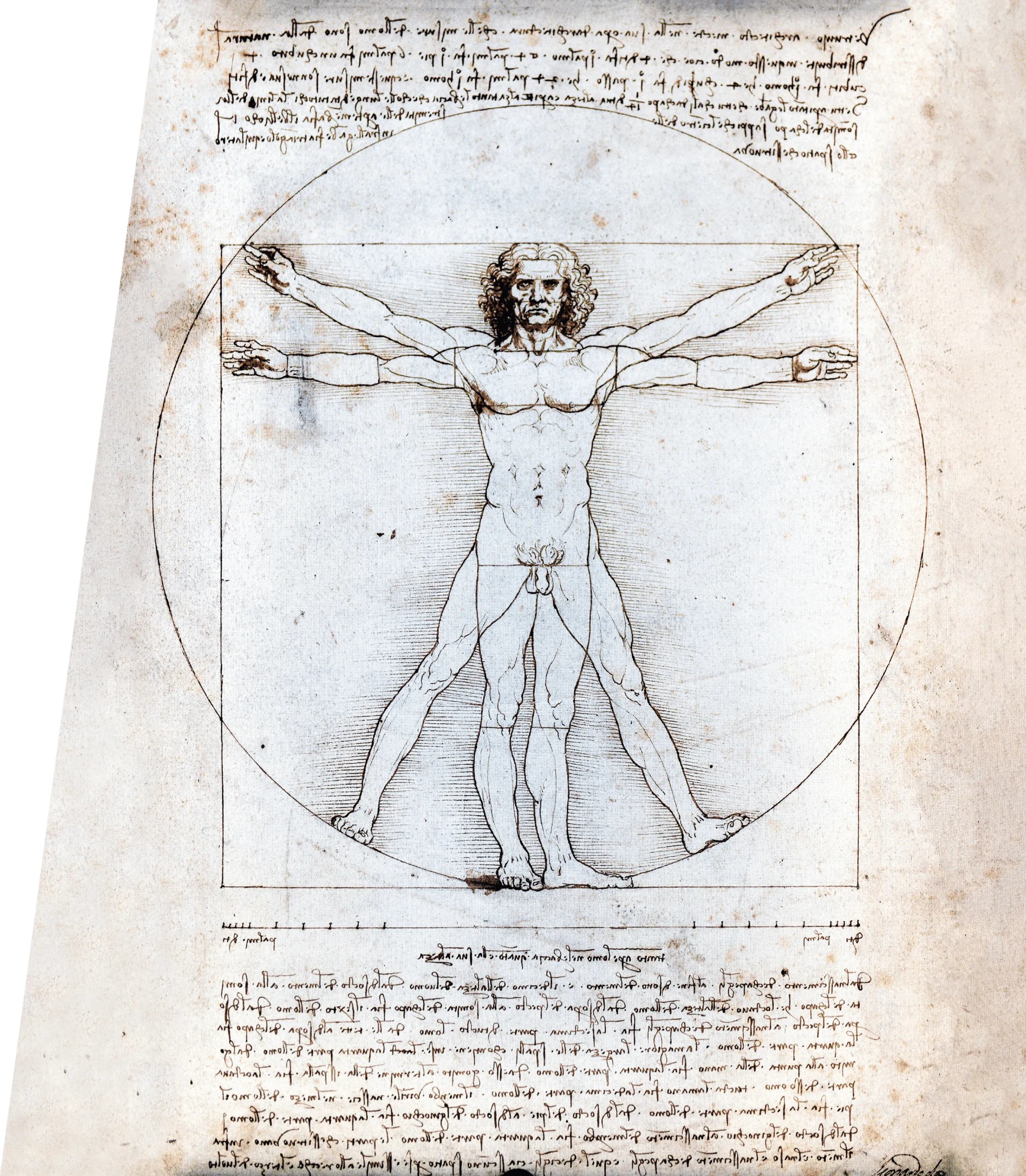 Dessin de Léonard de Vinci, L'Homme de Vitruve, représentant un homme nu inscrit dans un cercle et un carré, illustrant les proportions idéales du corps humain.