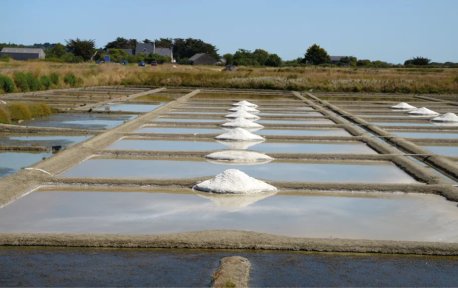 Marais salants destinés à la récupération du sel.