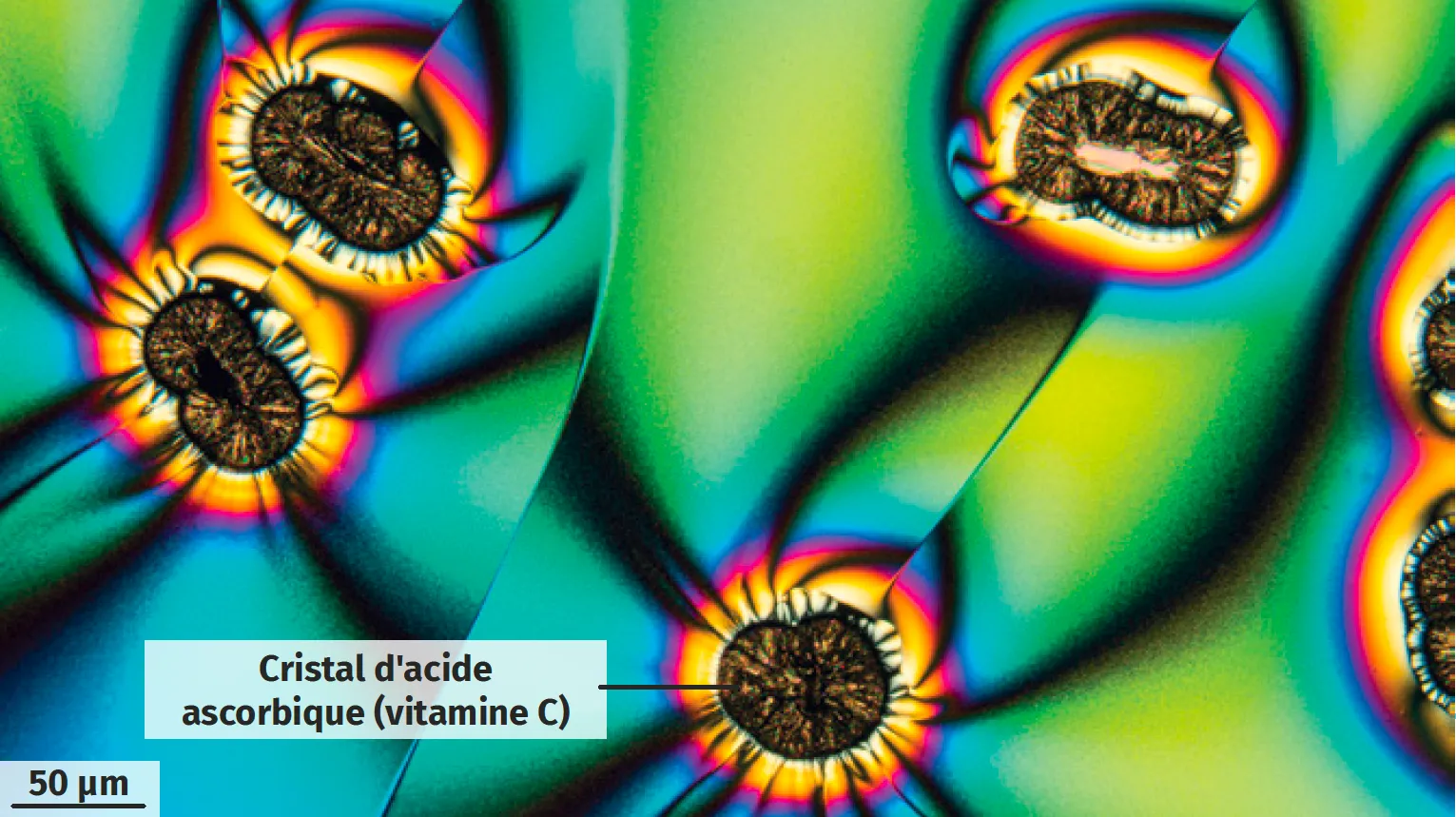 Observation au microscope polarisant de la boisson secrète du chirurgien Blane.