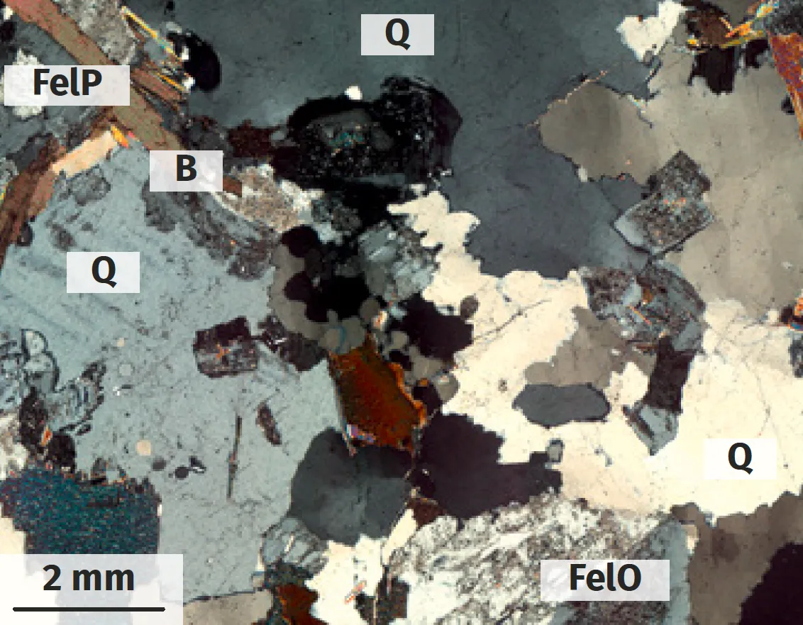 Observation au microscope polarisant d'un granite.
Q : quartz ; FelO : feldspath orthose ; FelP : feldspath plagioclase ;
B : biotite.